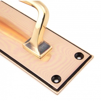 Polished Bronze 300mm Art Deco Pull Handle On Backplate