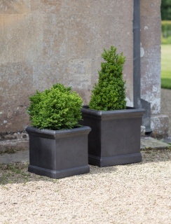 BOXGROVE PLANTER