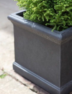 BOXGROVE PLANTER