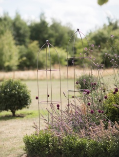 Barrington Obelisk Plant Supports