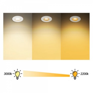 Anthracite CCT Dim To Warm LED Downlight Fire Rated IP65