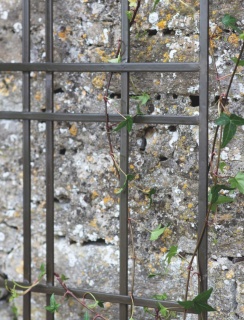 Charlbury Trellis 60cm