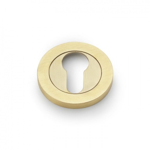 Alexander and Wilks Concealed Fix Escutcheon Euro Profile