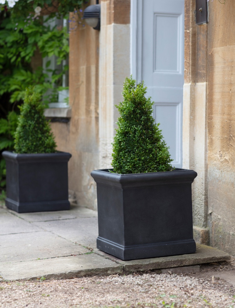 BOXGROVE PLANTER