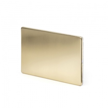 Brushed Brass Period Metal Double Blanking Plates