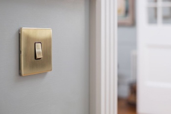 Brushed Brass Period 10A 1 Gang 2 Way Switch With Black Insert